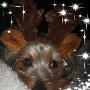 Meet your Posher, Debra